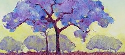 Jacaranda Study | 2023 | Oil on Canvas | 36 x 51 cm